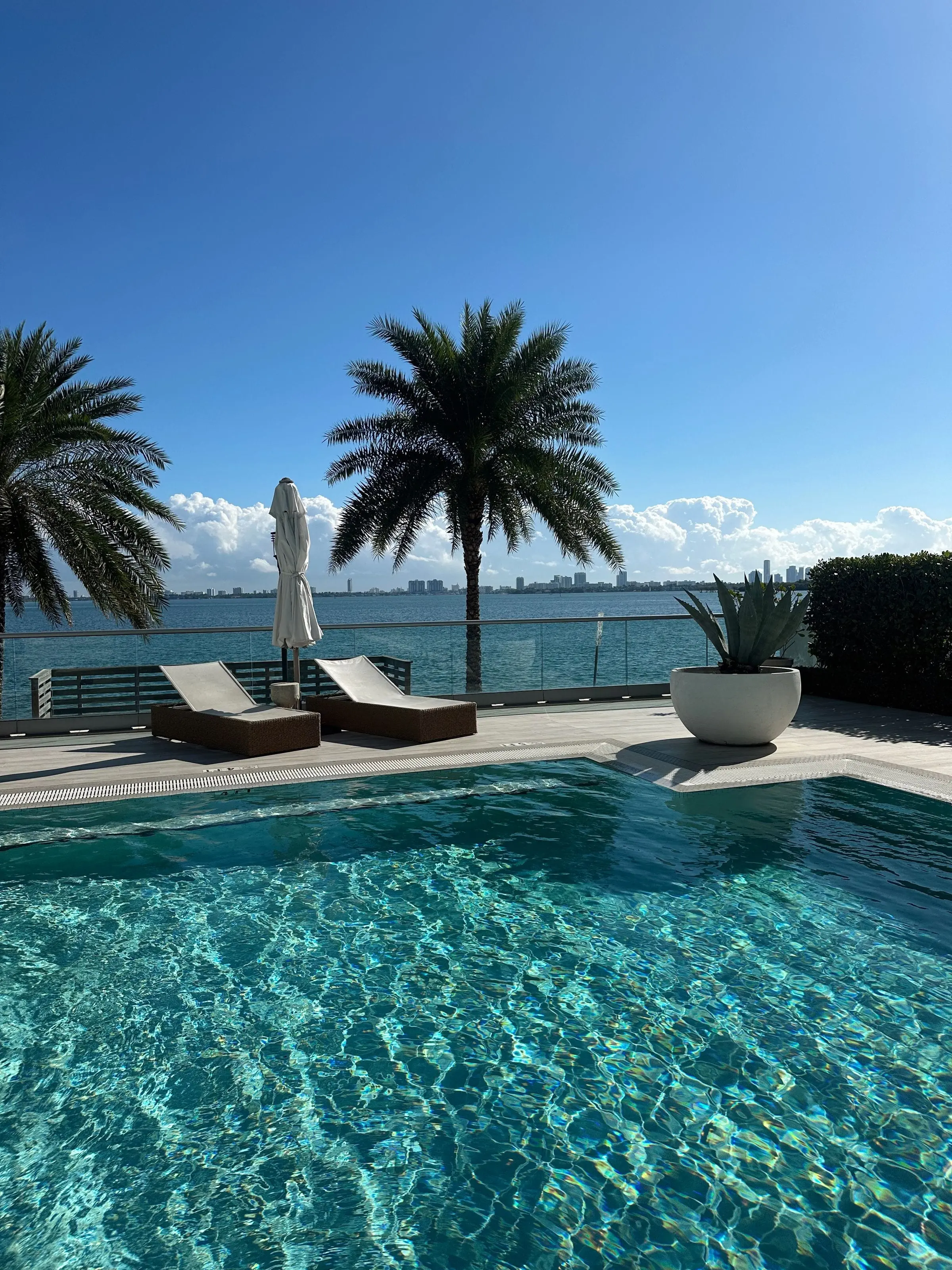 Pool with palm trees and lounge chairs overlooking the water on a sunny day